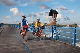 CULTURAL BIKE - 